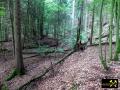 Eisen-Mangan-Bergbau im Lochborner Revier bei Bieber, Nordspessart, Hessen, (D) (14) 31. Mai 2014.JPG